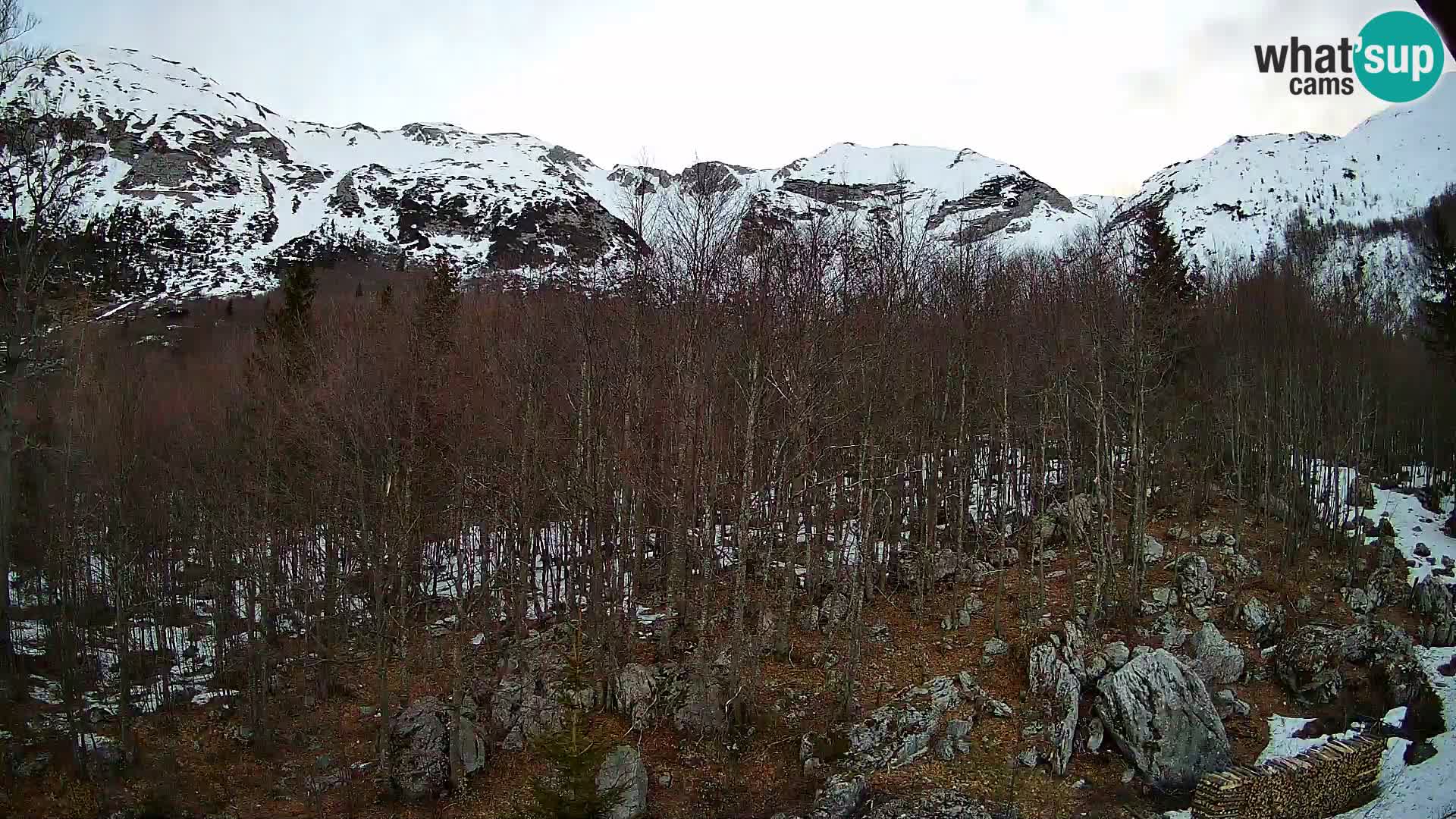 PLANINA RAZOR kamera (1315) | pogled na Vogel in Globoko
