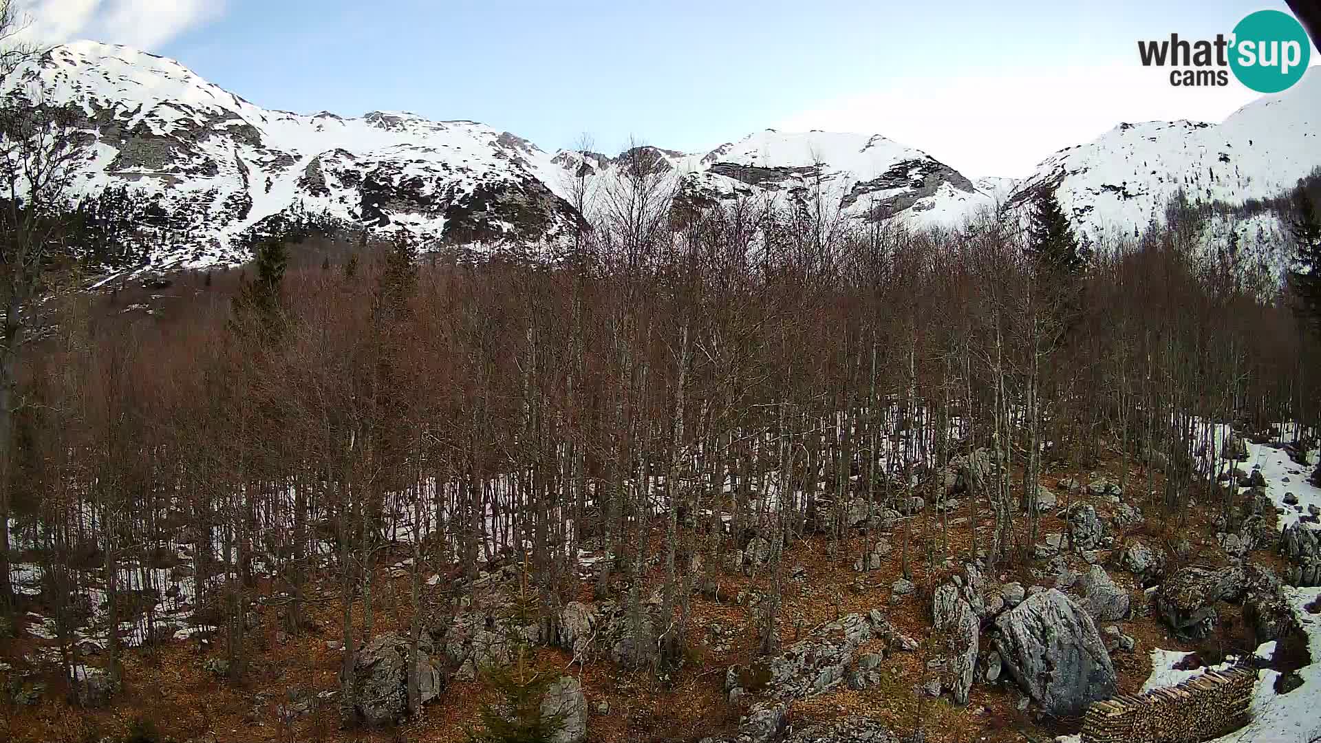 PLANINA RAZOR Live Cam (1315) | vista su Vogel e Globoko