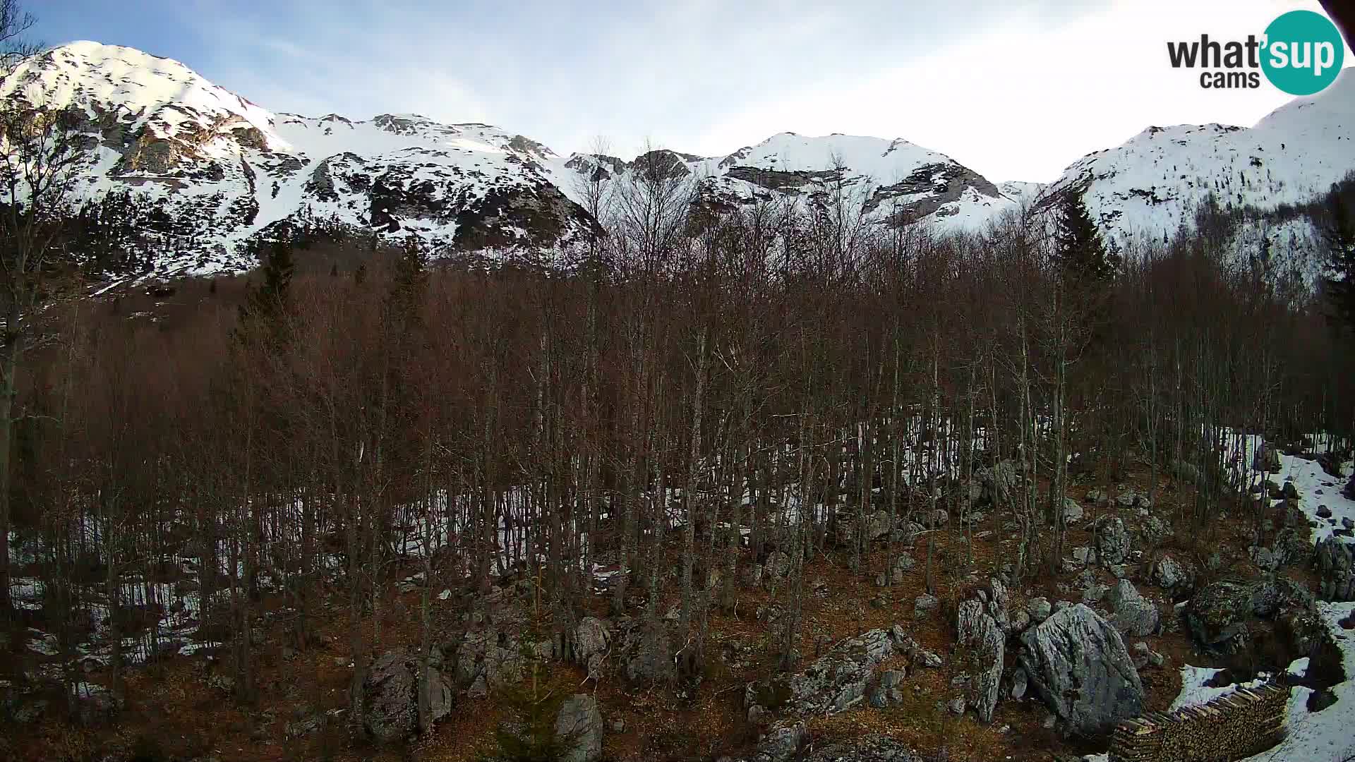 Livecam PLANINA RAZOR (1315) | vue sur Vogel et Globoko