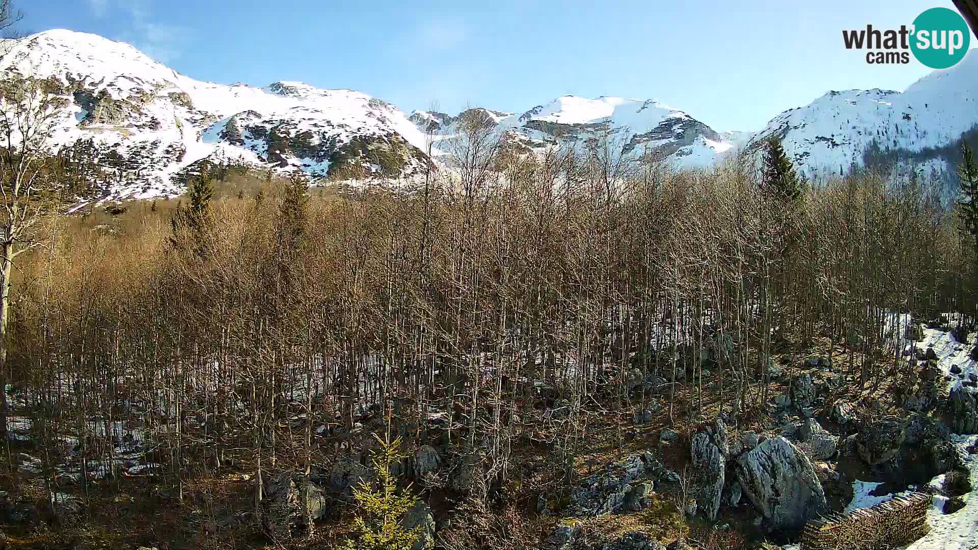 PLANINA RAZOR Live Cam (1315) | vista su Vogel e Globoko