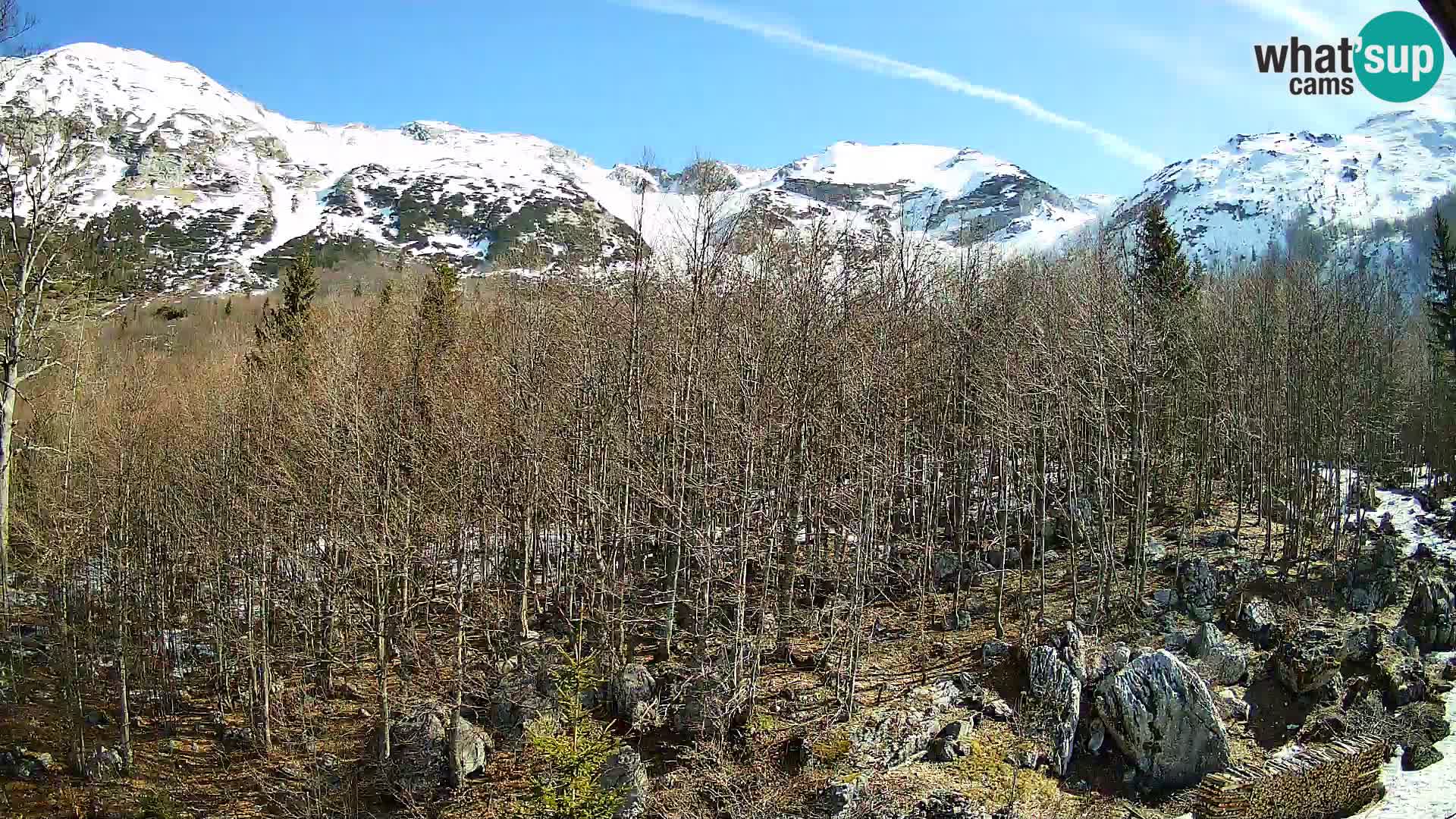Webcam PLANINA RAZOR (1315) | Blick auf Vogel und Globoko
