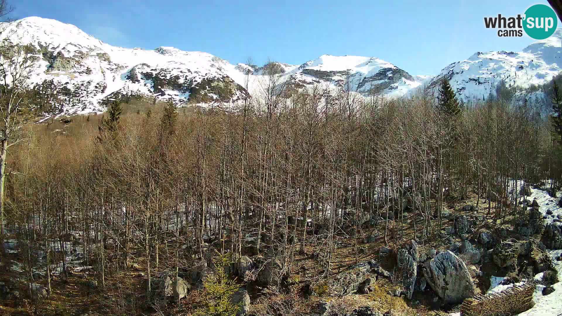 PLANINA RAZOR web kamera (1315) | pogled na Vogel i Globoko