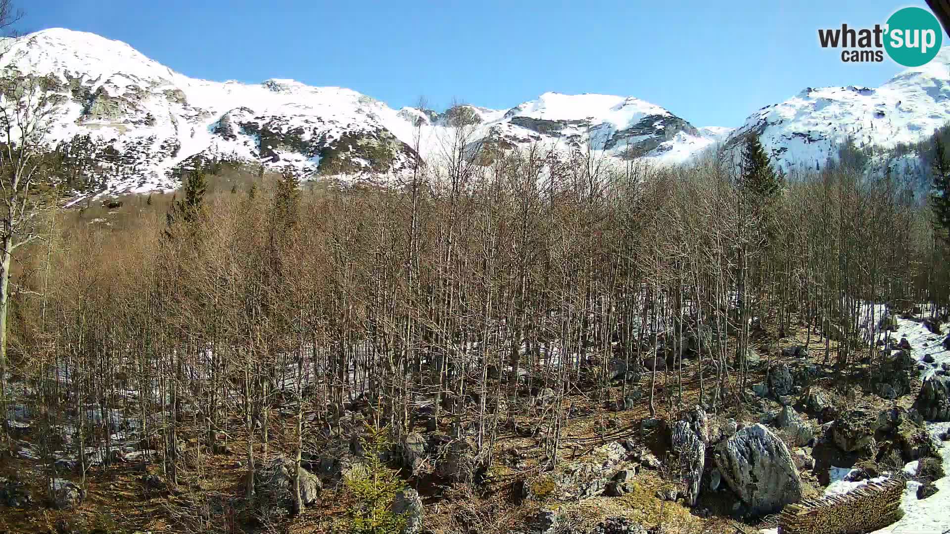 PLANINA RAZOR kamera (1315) | pogled na Vogel in Globoko