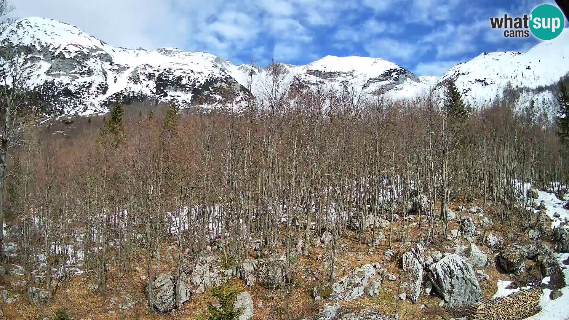 Webcam PLANINA RAZOR (1315) | Blick auf Vogel und Globoko