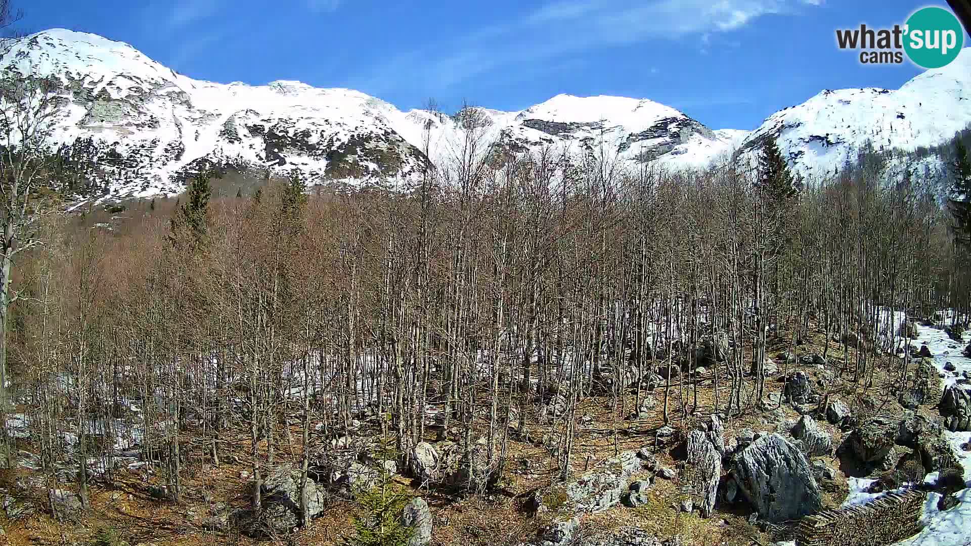 Cámara web PLANINA RAZOR (1315) | vista a Vogel y Globoko