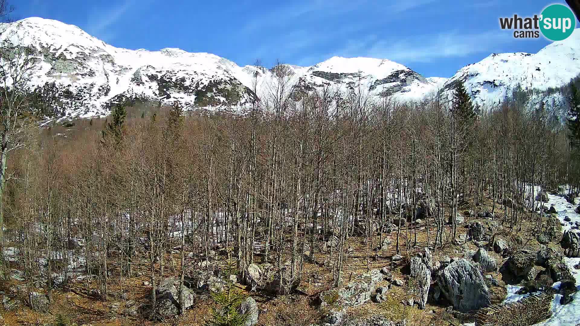 PLANINA RAZOR web kamera (1315) | pogled na Vogel i Globoko