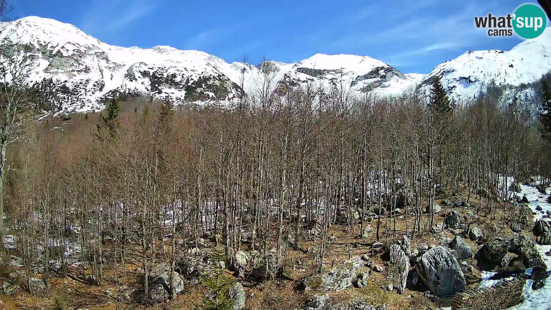 Webcam PLANINA RAZOR (1315) | Blick auf Vogel und Globoko