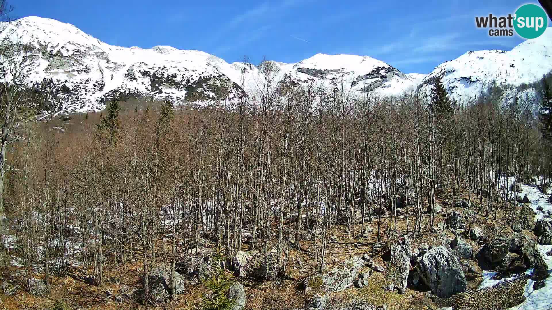 Livecam PLANINA RAZOR (1315) | vue sur Vogel et Globoko
