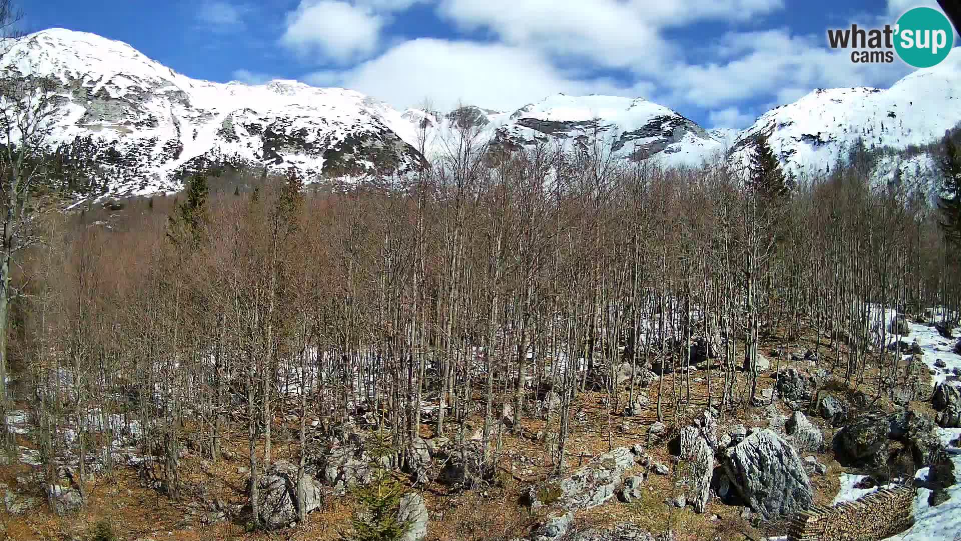 PLANINA RAZOR web kamera (1315) | pogled na Vogel i Globoko