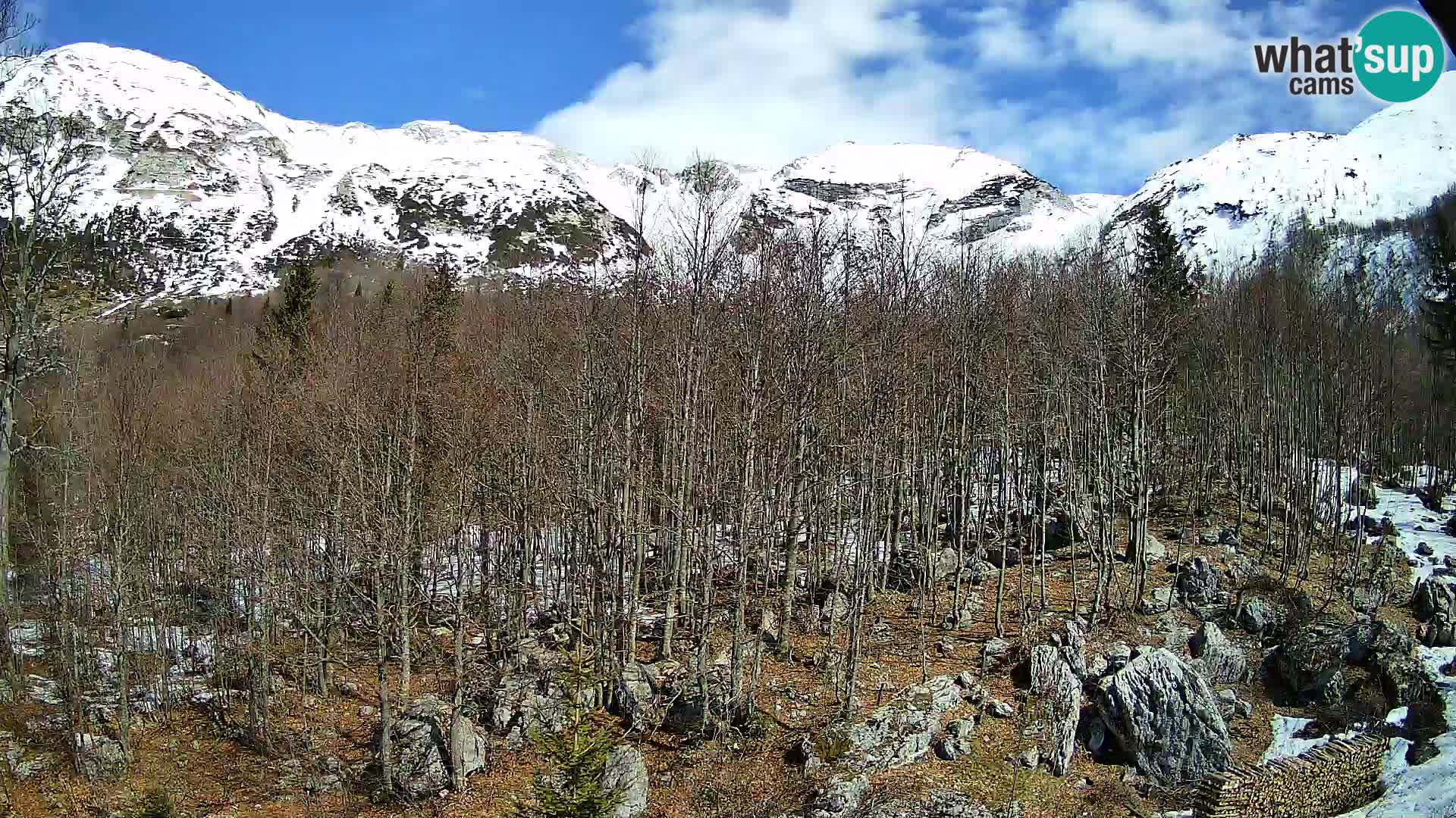 PLANINA RAZOR kamera (1315) | pogled na Vogel in Globoko