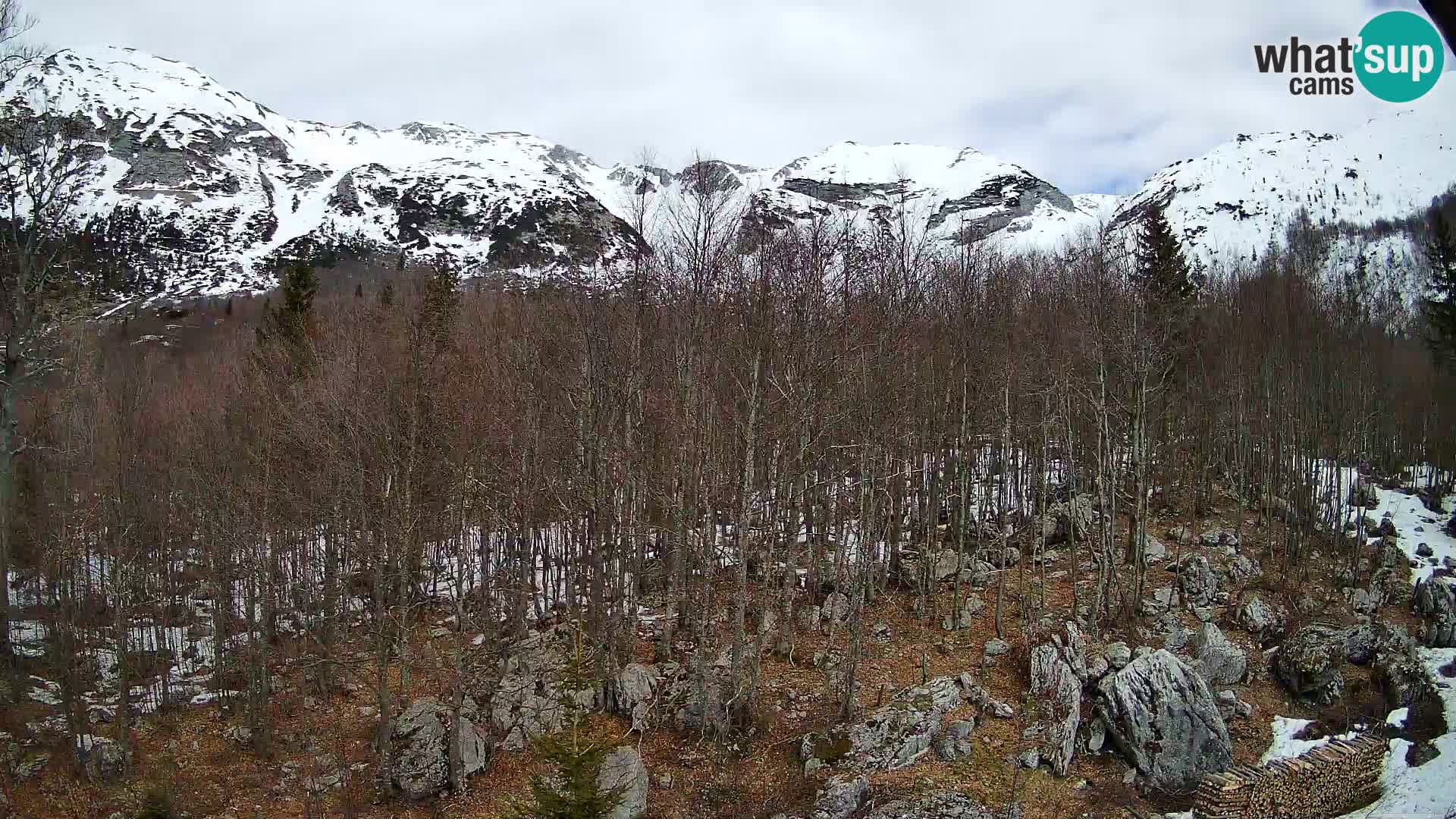Cámara web PLANINA RAZOR (1315) | vista a Vogel y Globoko