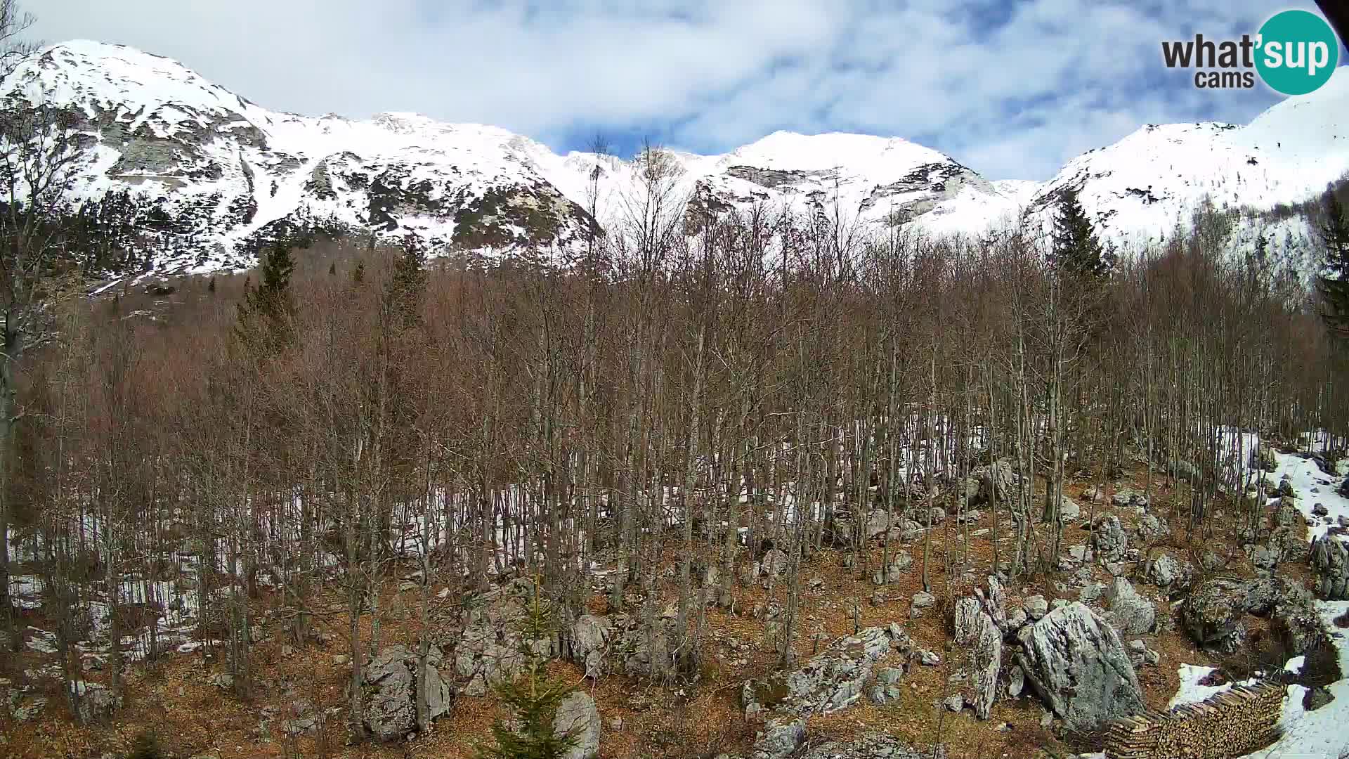 PLANINA RAZOR Live Cam (1315) | vista su Vogel e Globoko