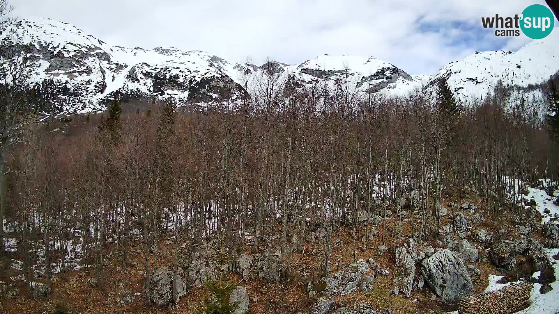 Livecam PLANINA RAZOR (1315) | vue sur Vogel et Globoko