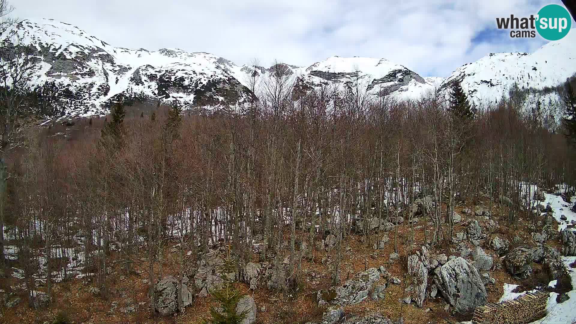PLANINA RAZOR Live Cam (1315) | vista su Vogel e Globoko