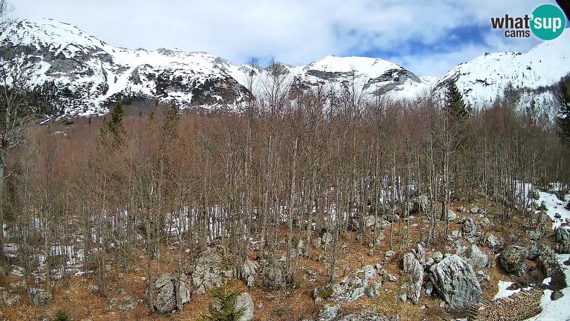Cámara web PLANINA RAZOR (1315) | vista a Vogel y Globoko