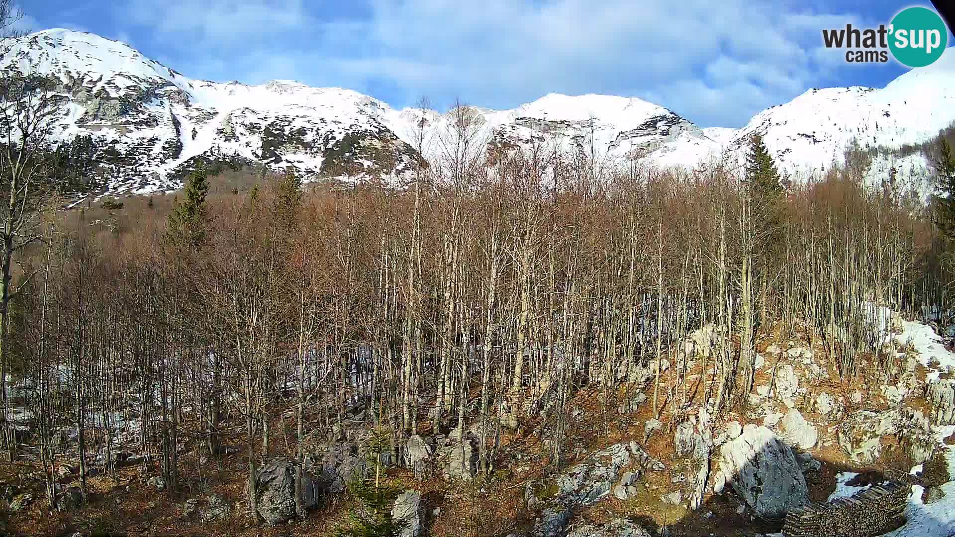 Livecam PLANINA RAZOR (1315) | vue sur Vogel et Globoko