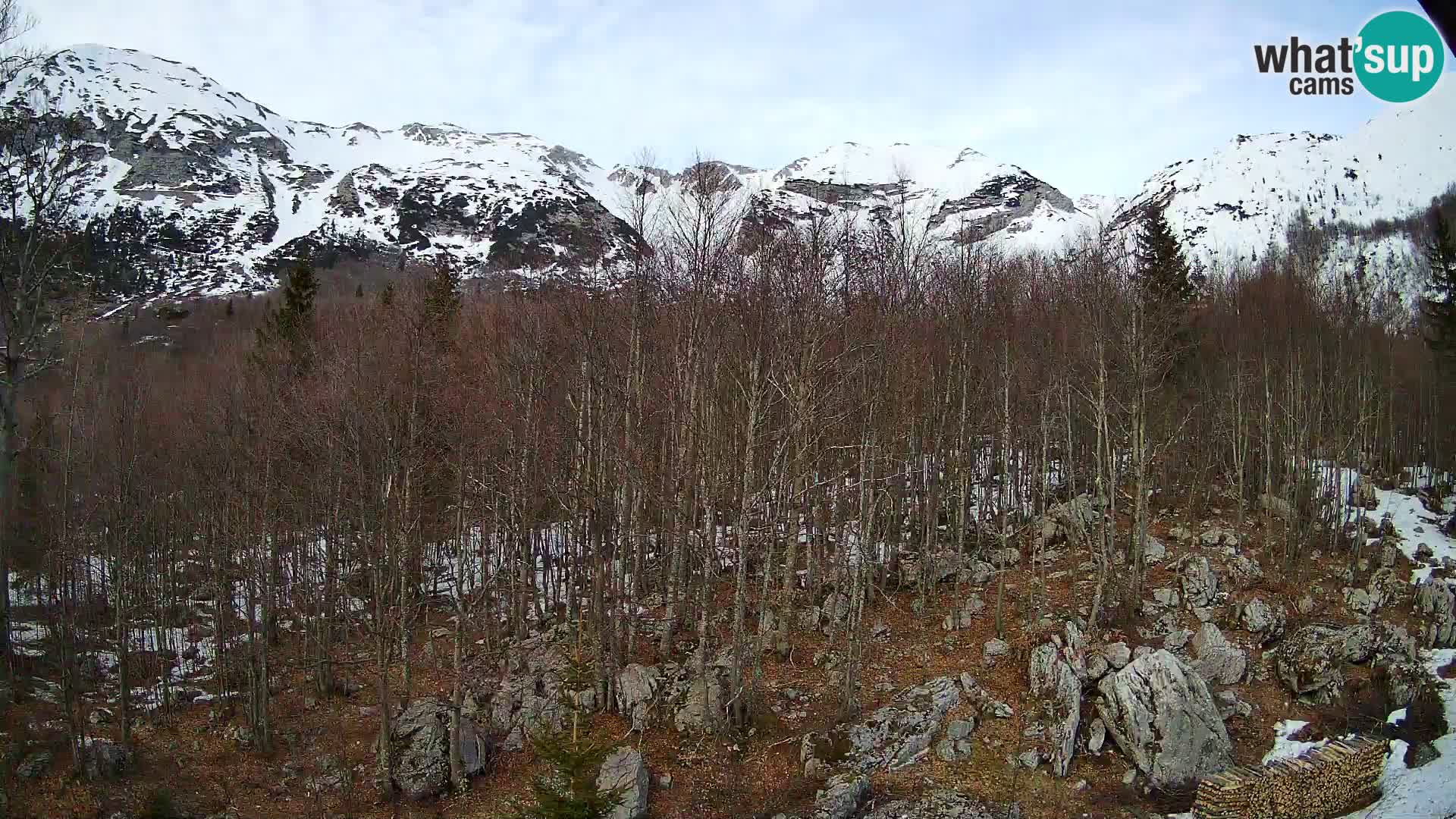 PLANINA RAZOR web kamera (1315) | pogled na Vogel i Globoko