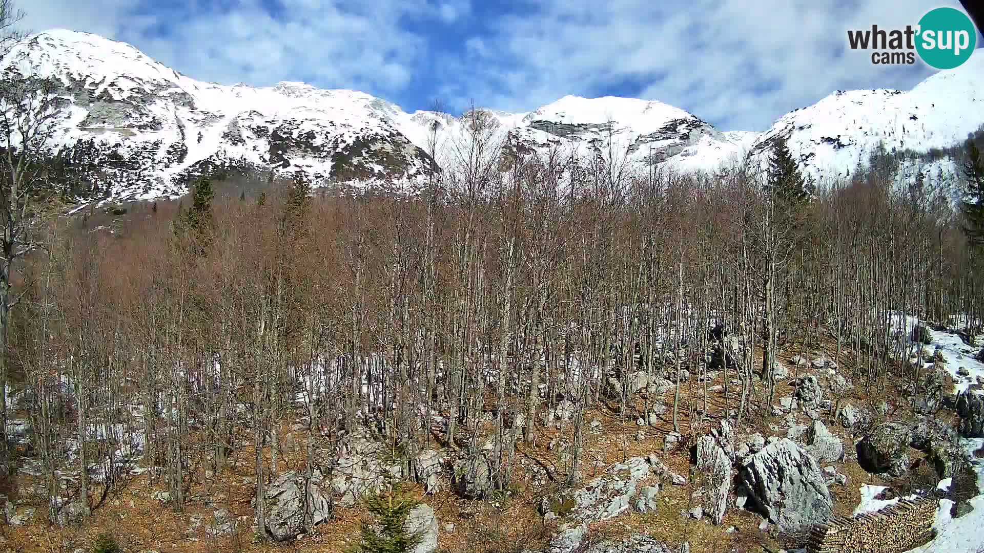 PLANINA RAZOR web kamera (1315) | pogled na Vogel i Globoko