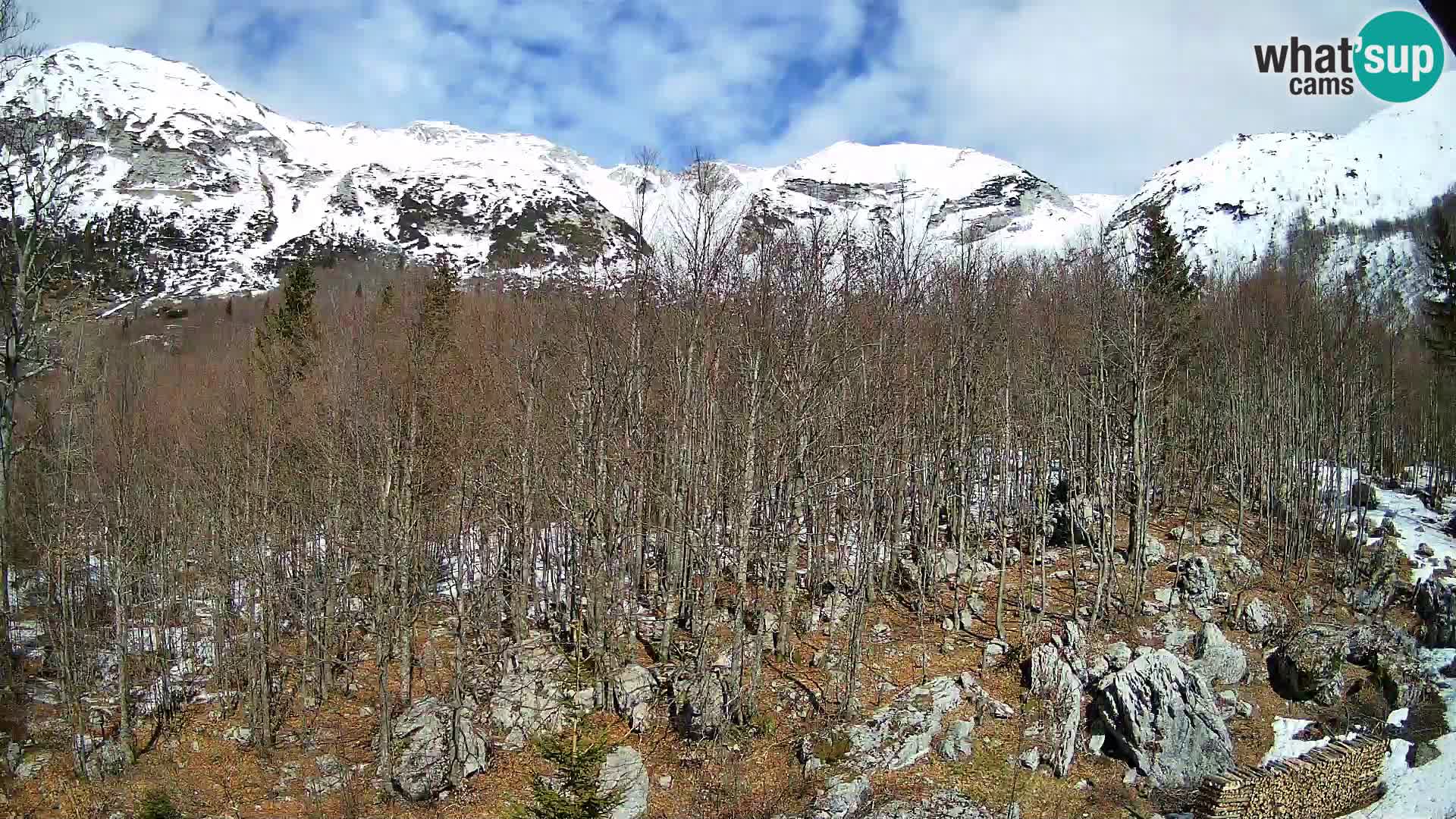 Webcam PLANINA RAZOR (1315) | Blick auf Vogel und Globoko