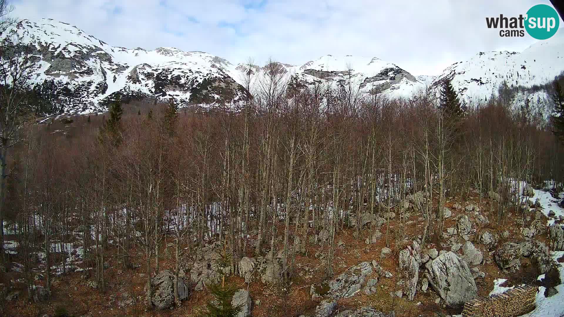 PLANINA RAZOR web kamera (1315) | pogled na Vogel i Globoko