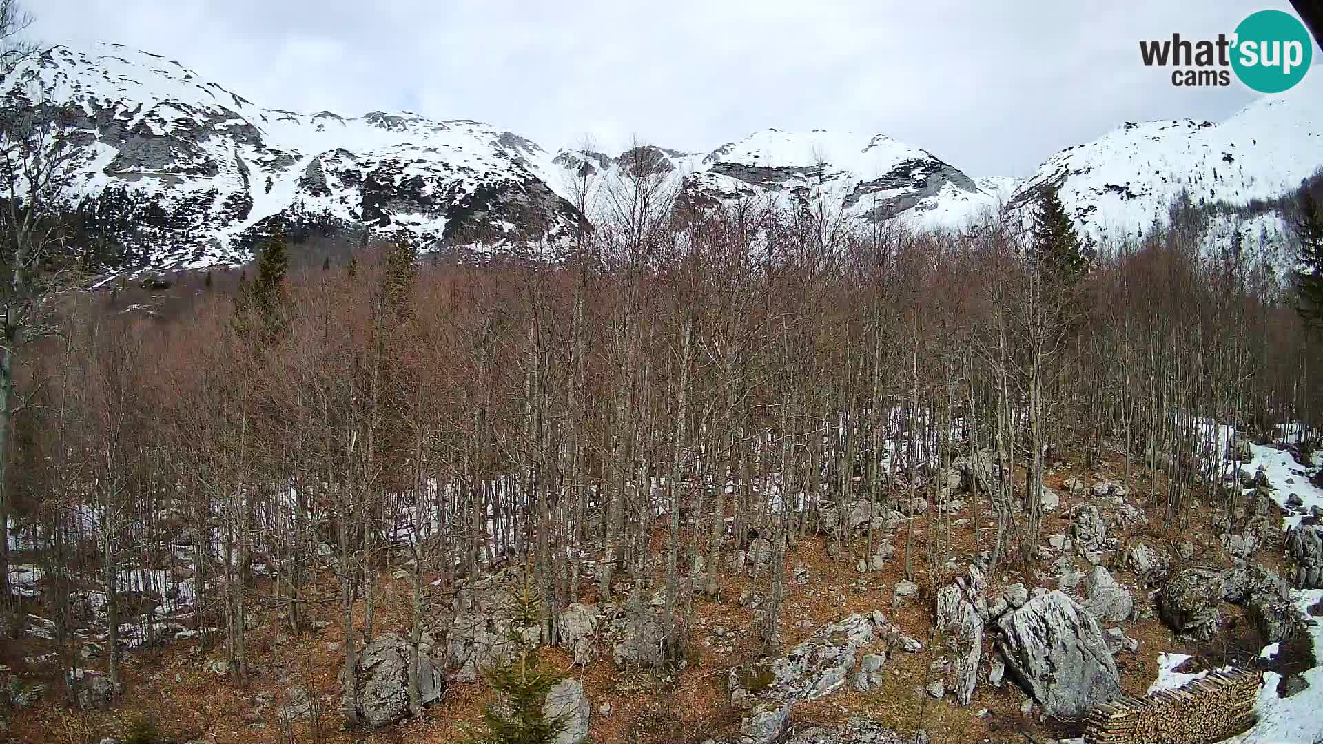 Webcam PLANINA RAZOR (1315) | Blick auf Vogel und Globoko
