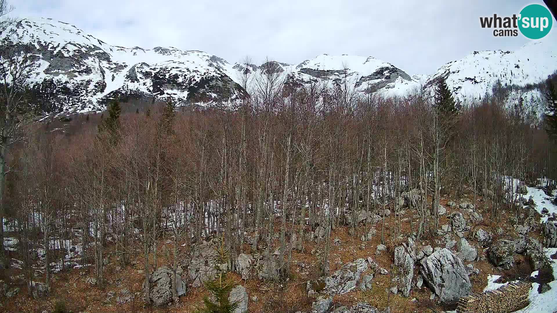 Livecam PLANINA RAZOR (1315) | vue sur Vogel et Globoko