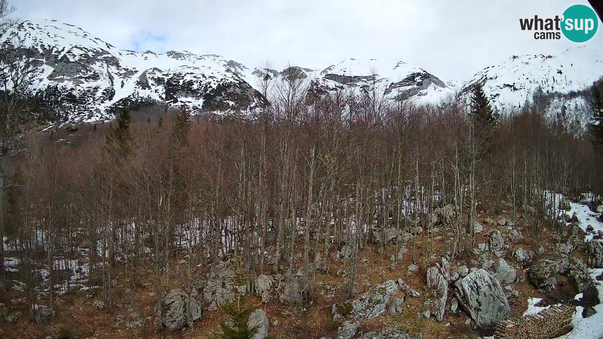 Livecam PLANINA RAZOR (1315) | vue sur Vogel et Globoko