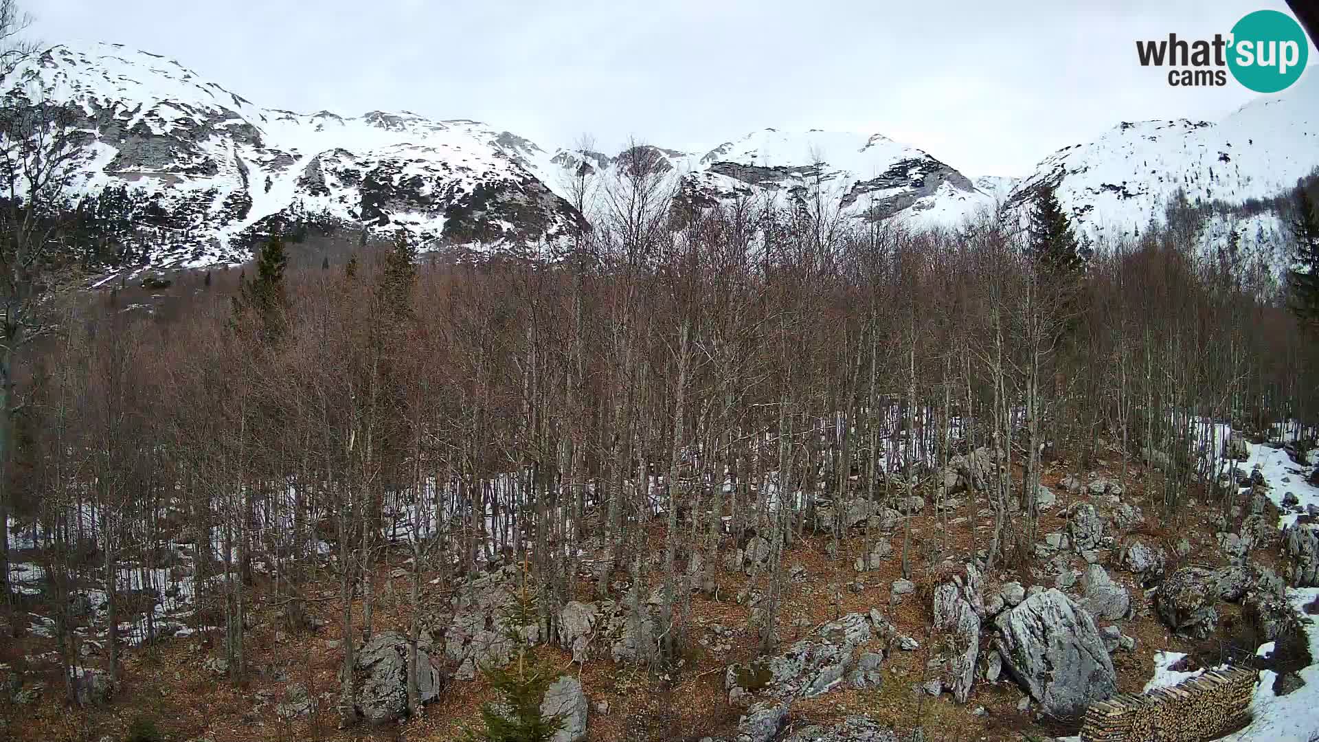 PLANINA RAZOR web kamera (1315) | pogled na Vogel i Globoko