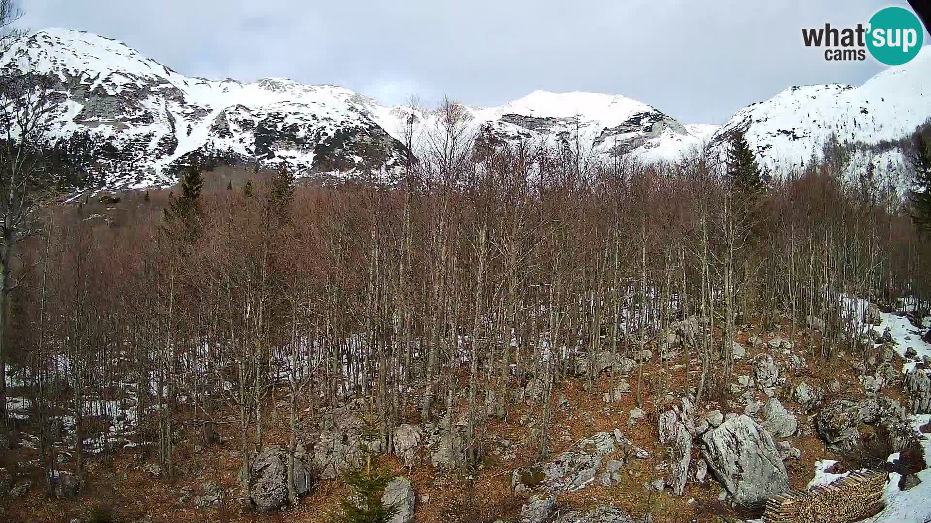 Webcam PLANINA RAZOR (1315) | Blick auf Vogel und Globoko