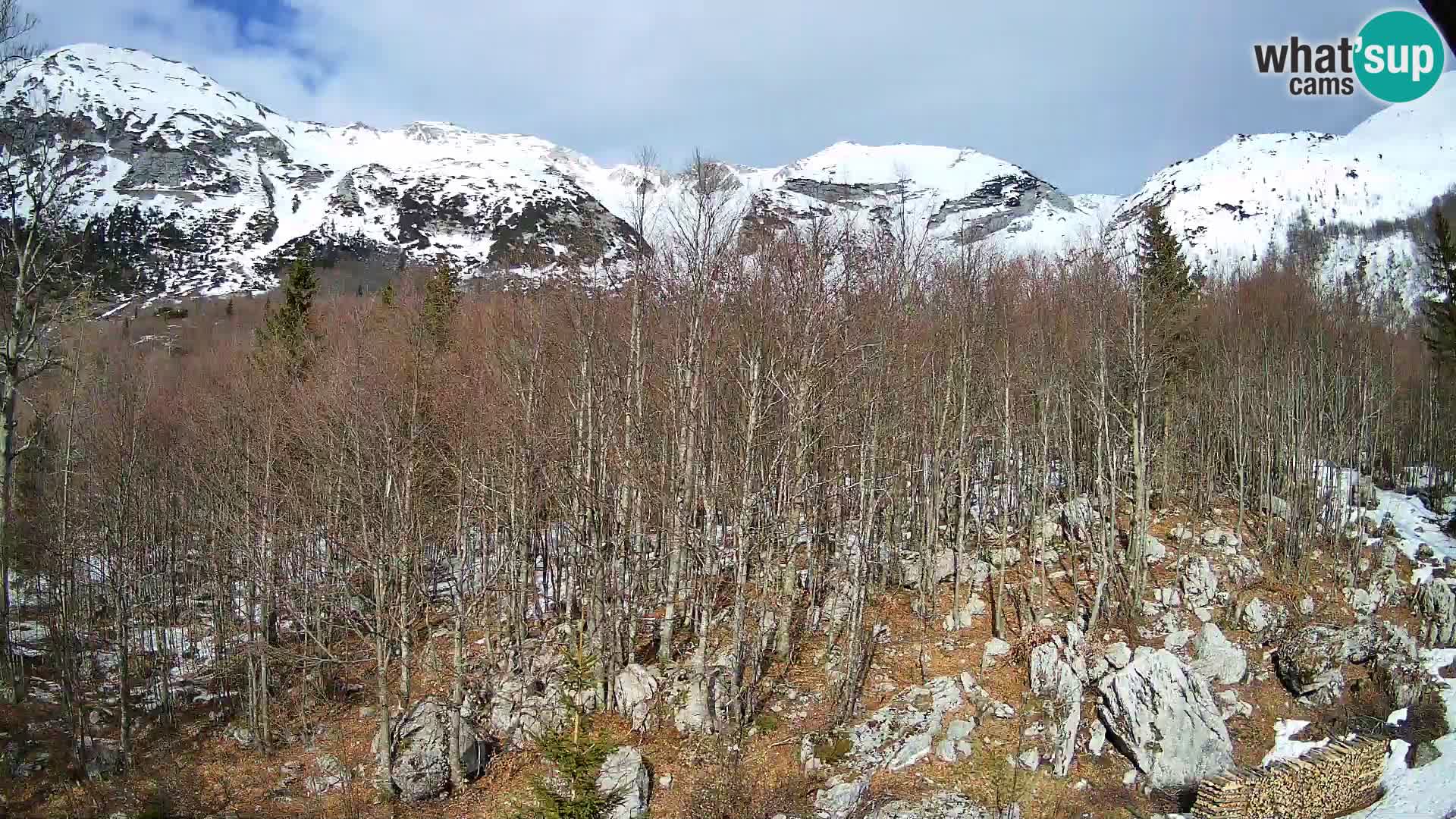 Cámara web PLANINA RAZOR (1315) | vista a Vogel y Globoko