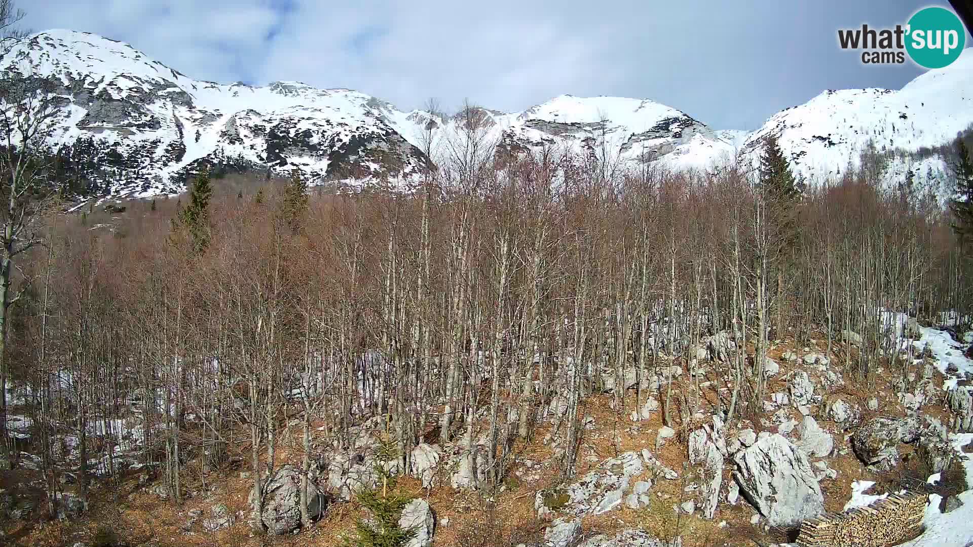 Livecam PLANINA RAZOR (1315) | vue sur Vogel et Globoko
