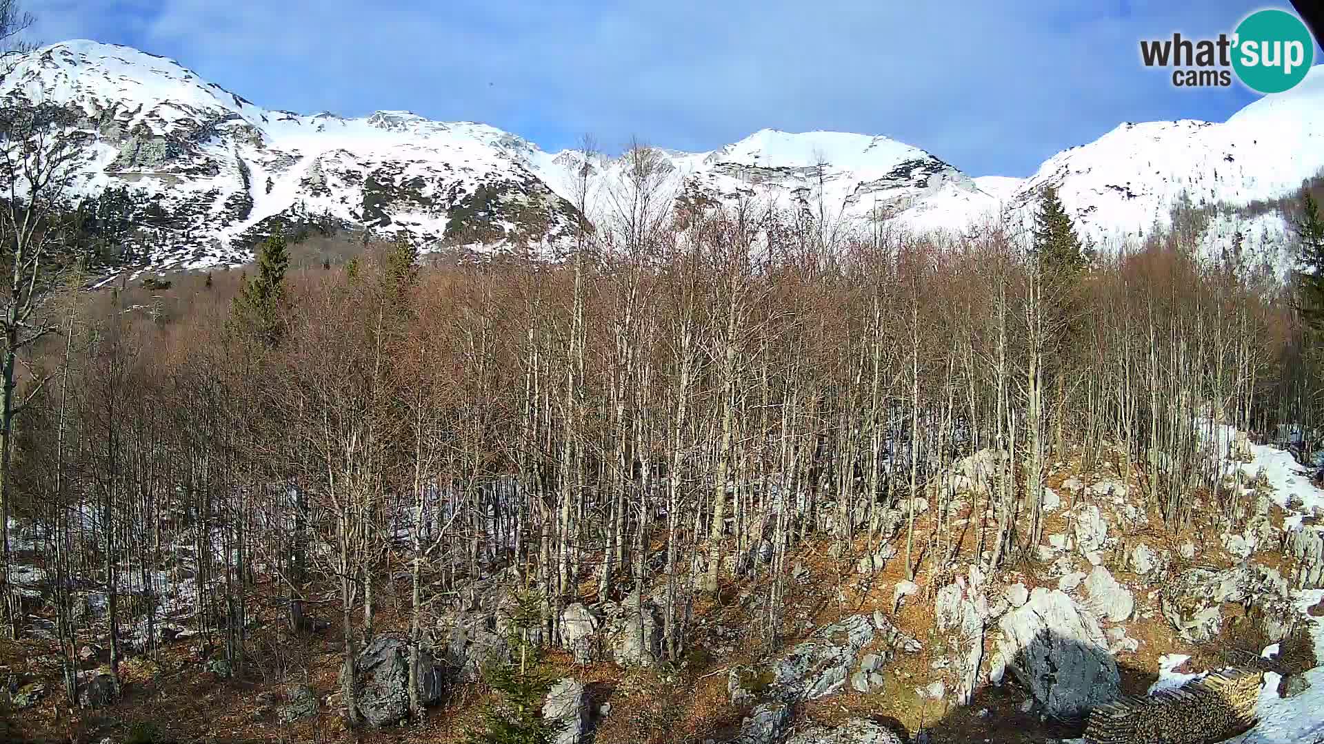 Livecam PLANINA RAZOR (1315) | vue sur Vogel et Globoko