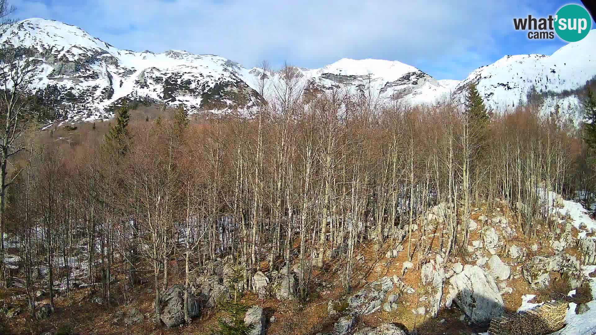 Livecam PLANINA RAZOR (1315) | vue sur Vogel et Globoko