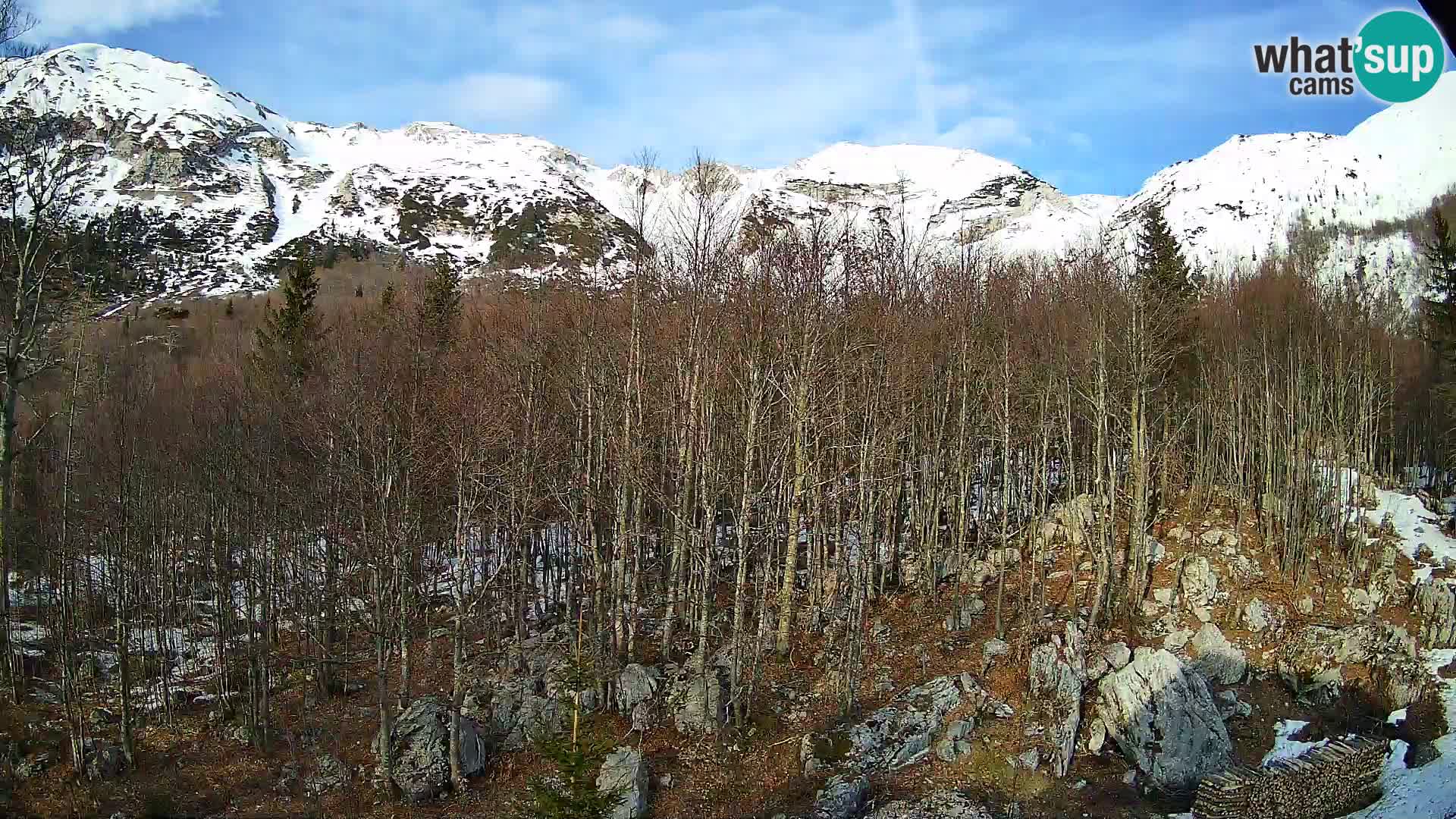 PLANINA RAZOR webcam (1315) | view to Vogel and Globoko