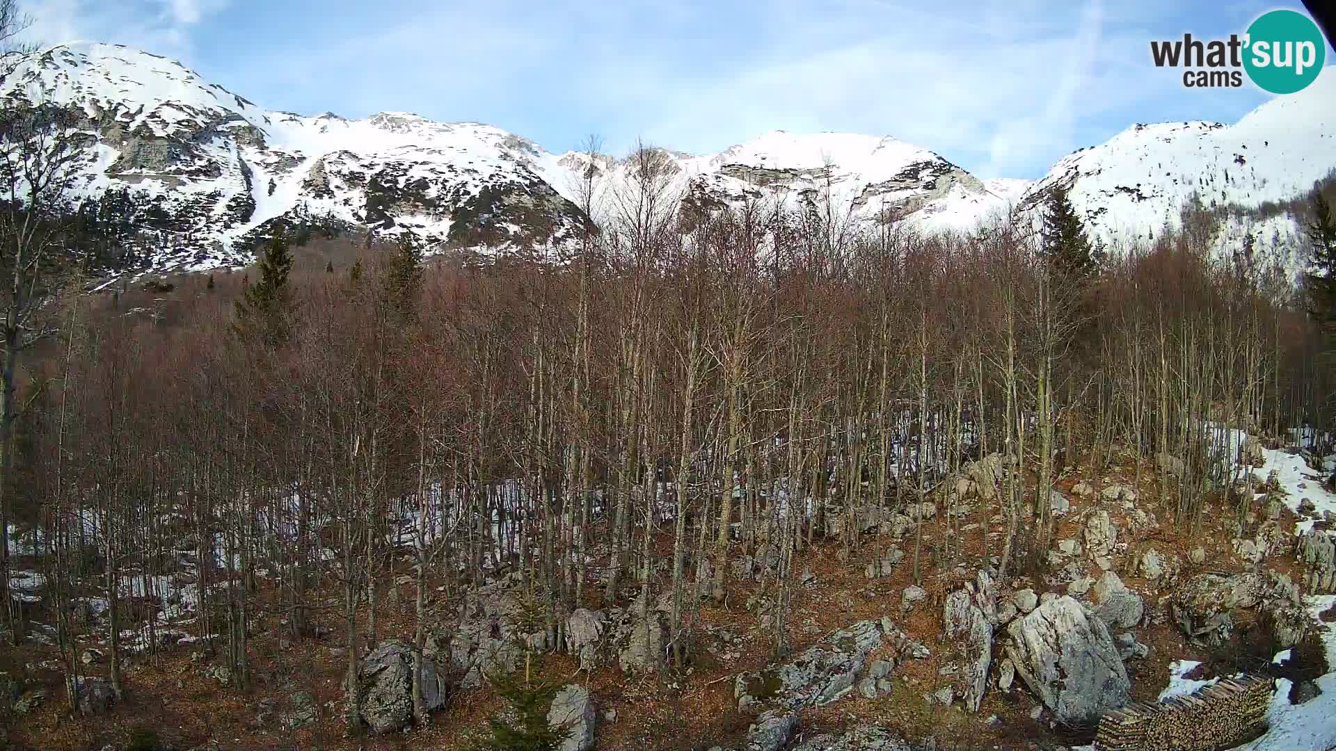Livecam PLANINA RAZOR (1315) | vue sur Vogel et Globoko