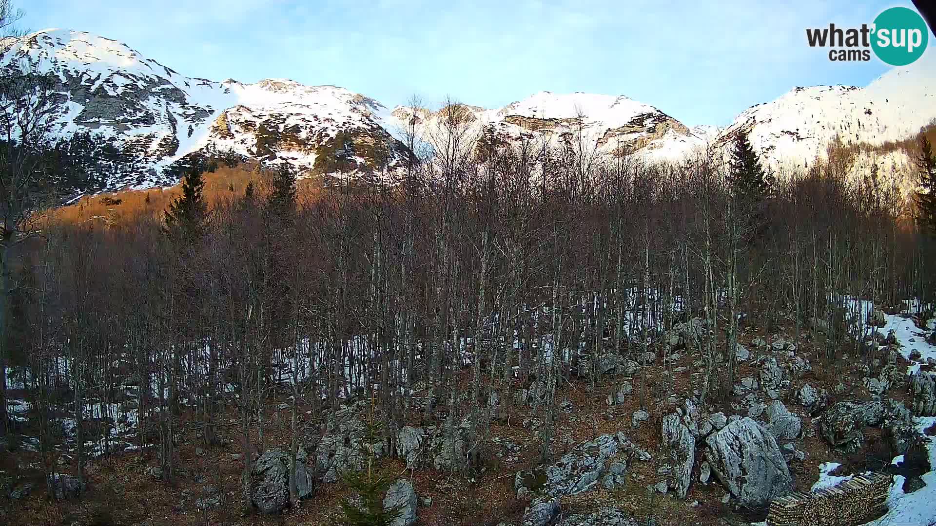 Webcam PLANINA RAZOR (1315) | Blick auf Vogel und Globoko