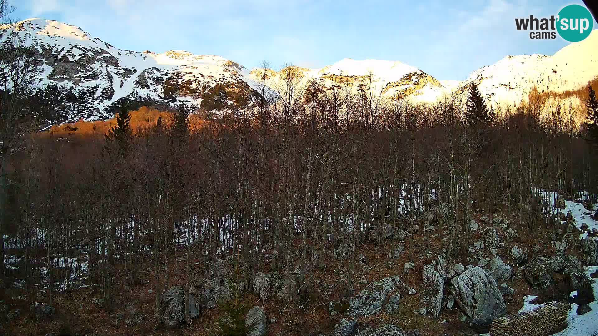 Livecam PLANINA RAZOR (1315) | vue sur Vogel et Globoko