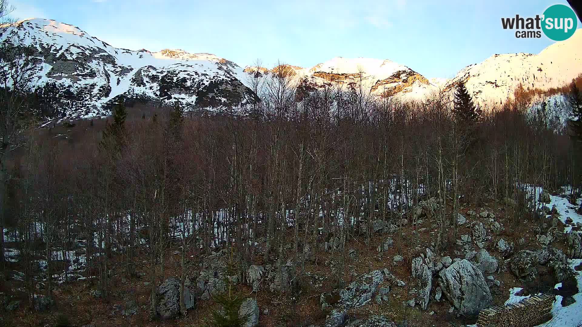 Livecam PLANINA RAZOR (1315) | vue sur Vogel et Globoko