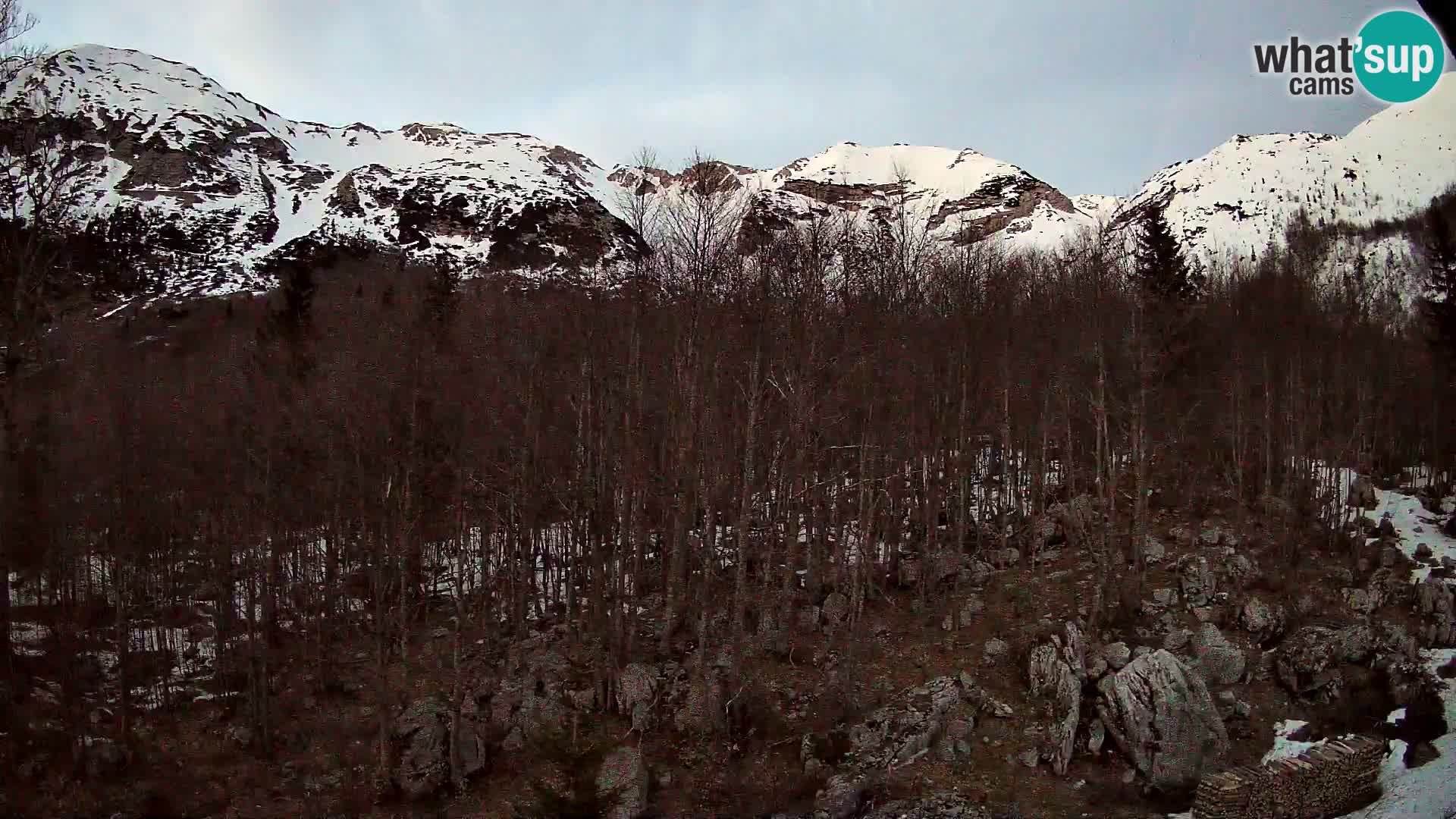 Livecam PLANINA RAZOR (1315) | vue sur Vogel et Globoko