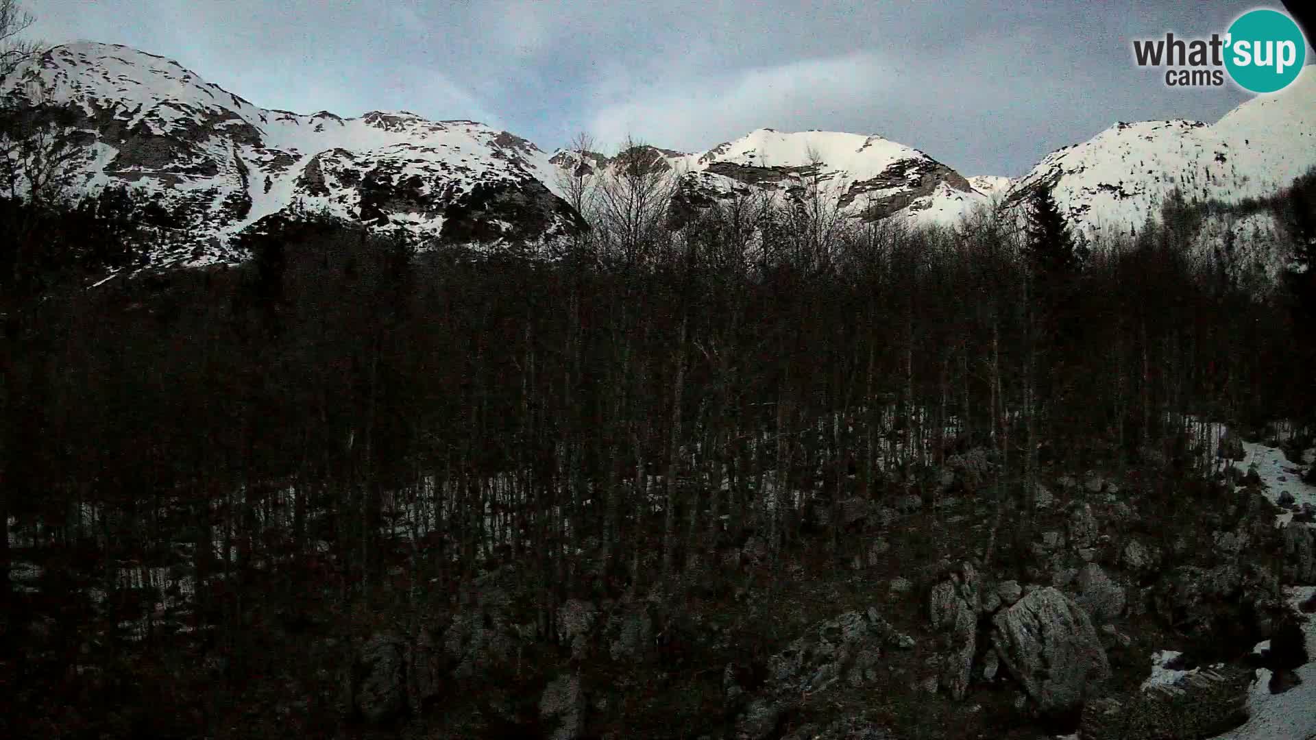 Livecam PLANINA RAZOR (1315) | vue sur Vogel et Globoko