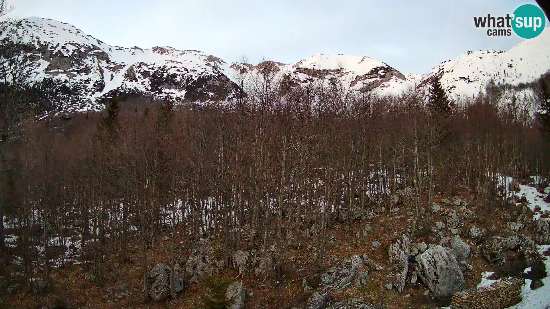 Livecam PLANINA RAZOR (1315) | vue sur Vogel et Globoko