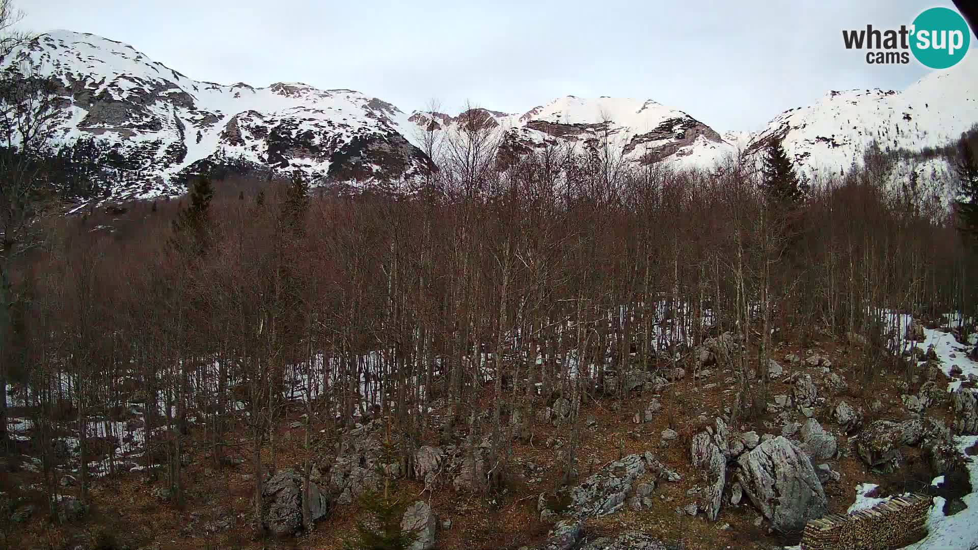 Livecam PLANINA RAZOR (1315) | vue sur Vogel et Globoko