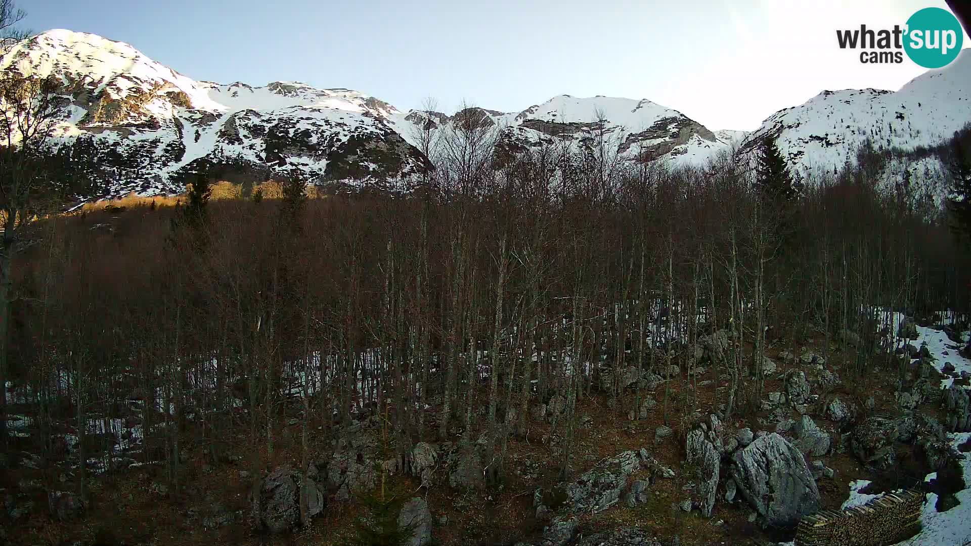 Webcam PLANINA RAZOR (1315) | Blick auf Vogel und Globoko