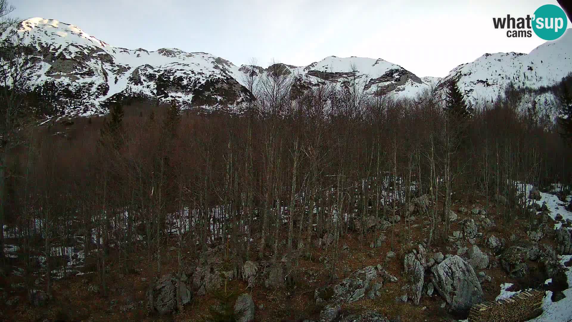 PLANINA RAZOR web kamera (1315) | pogled na Vogel i Globoko