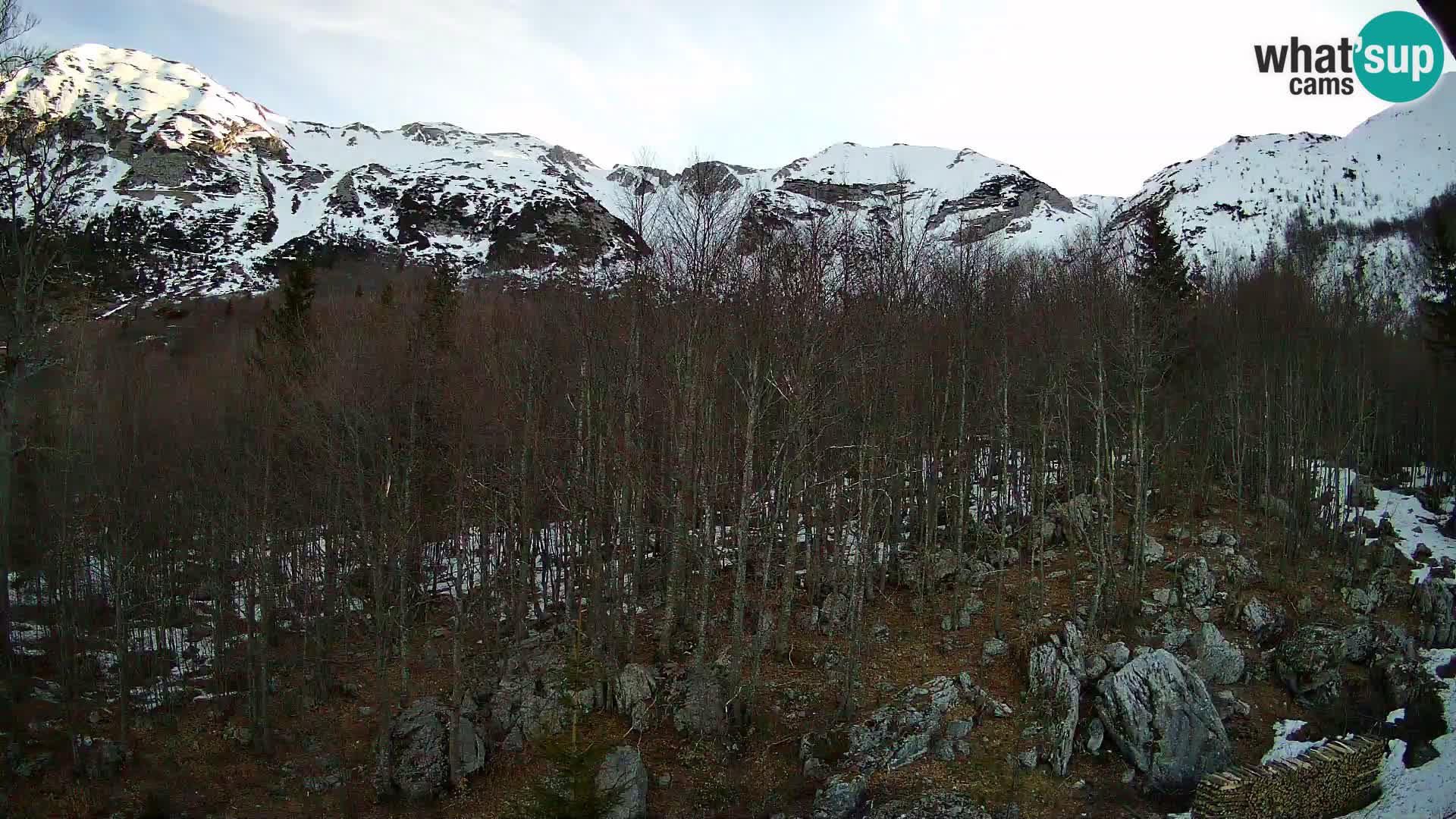 Cámara web PLANINA RAZOR (1315) | vista a Vogel y Globoko