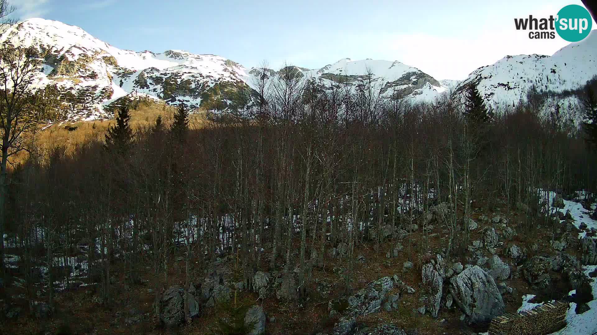 PLANINA RAZOR Live Cam (1315) | vista su Vogel e Globoko