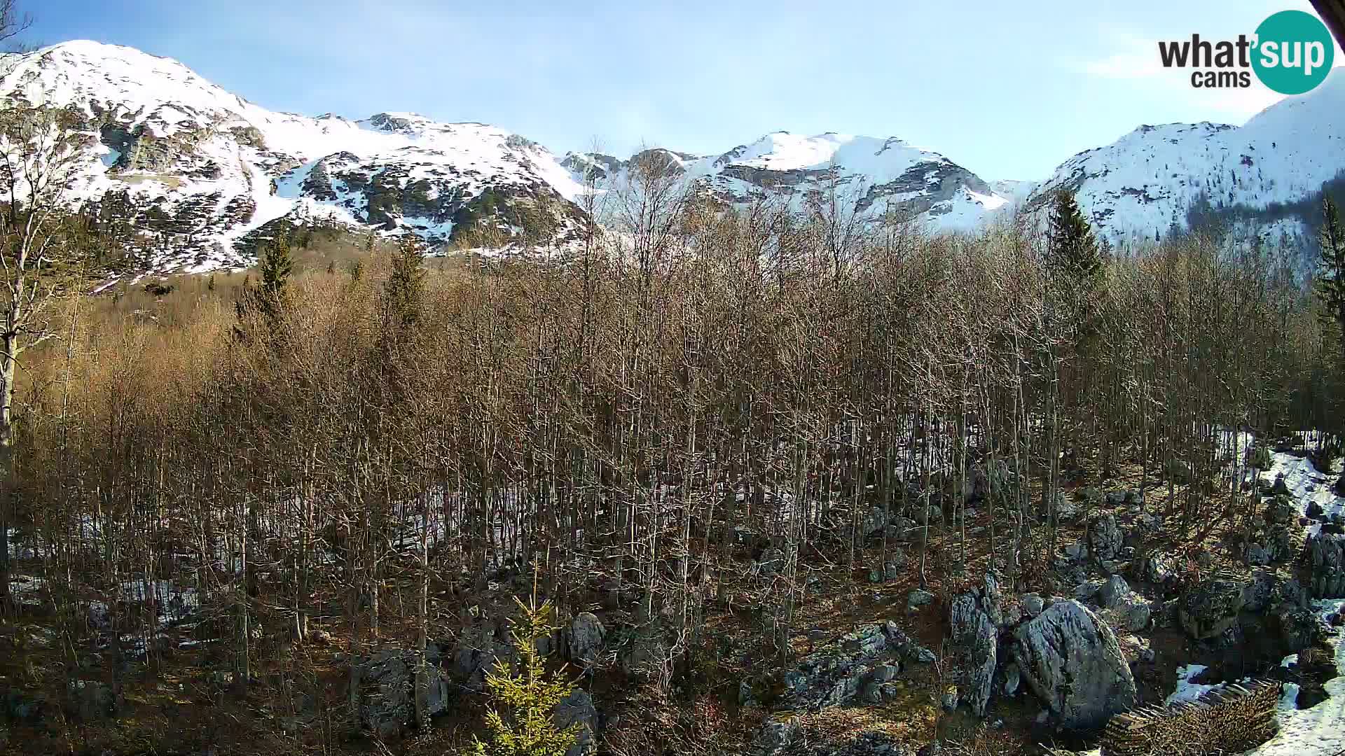 PLANINA RAZOR kamera (1315) | pogled na Vogel in Globoko