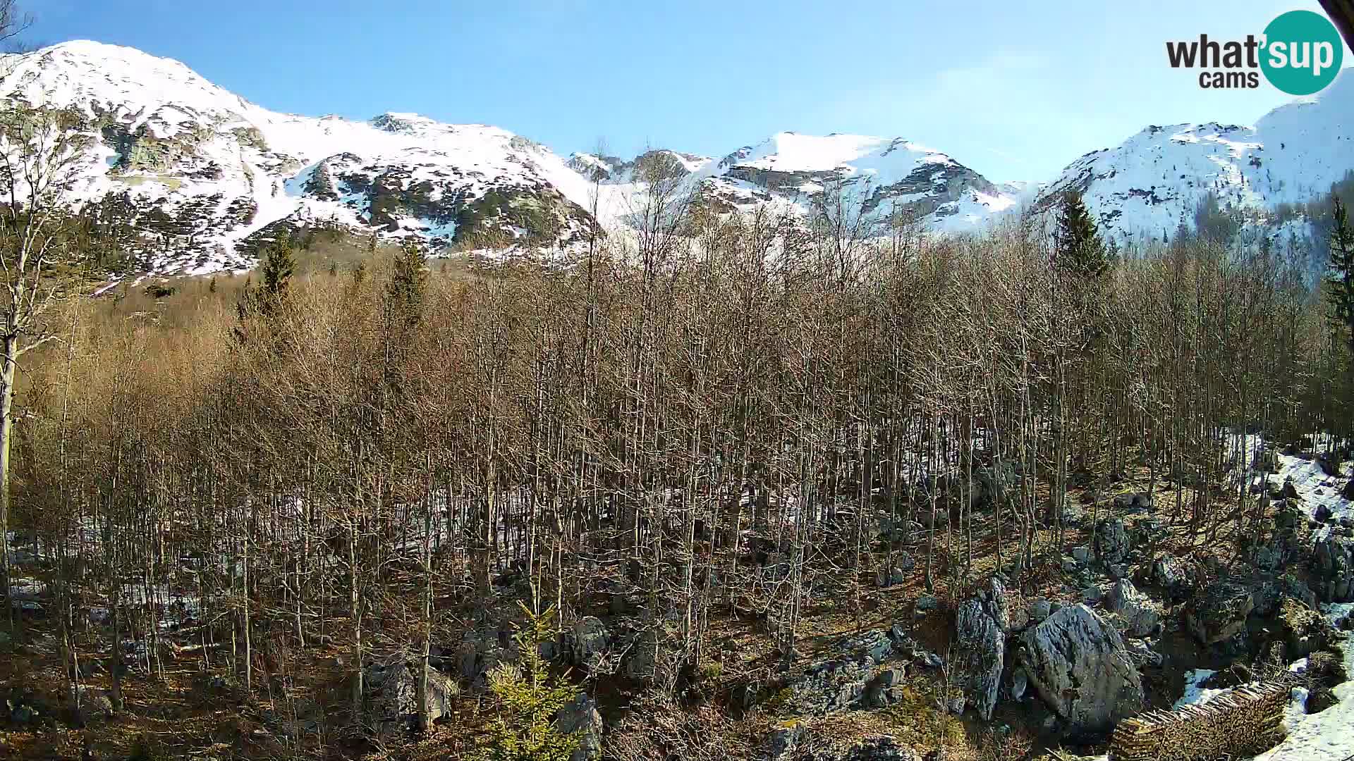 PLANINA RAZOR Live Cam (1315) | vista su Vogel e Globoko