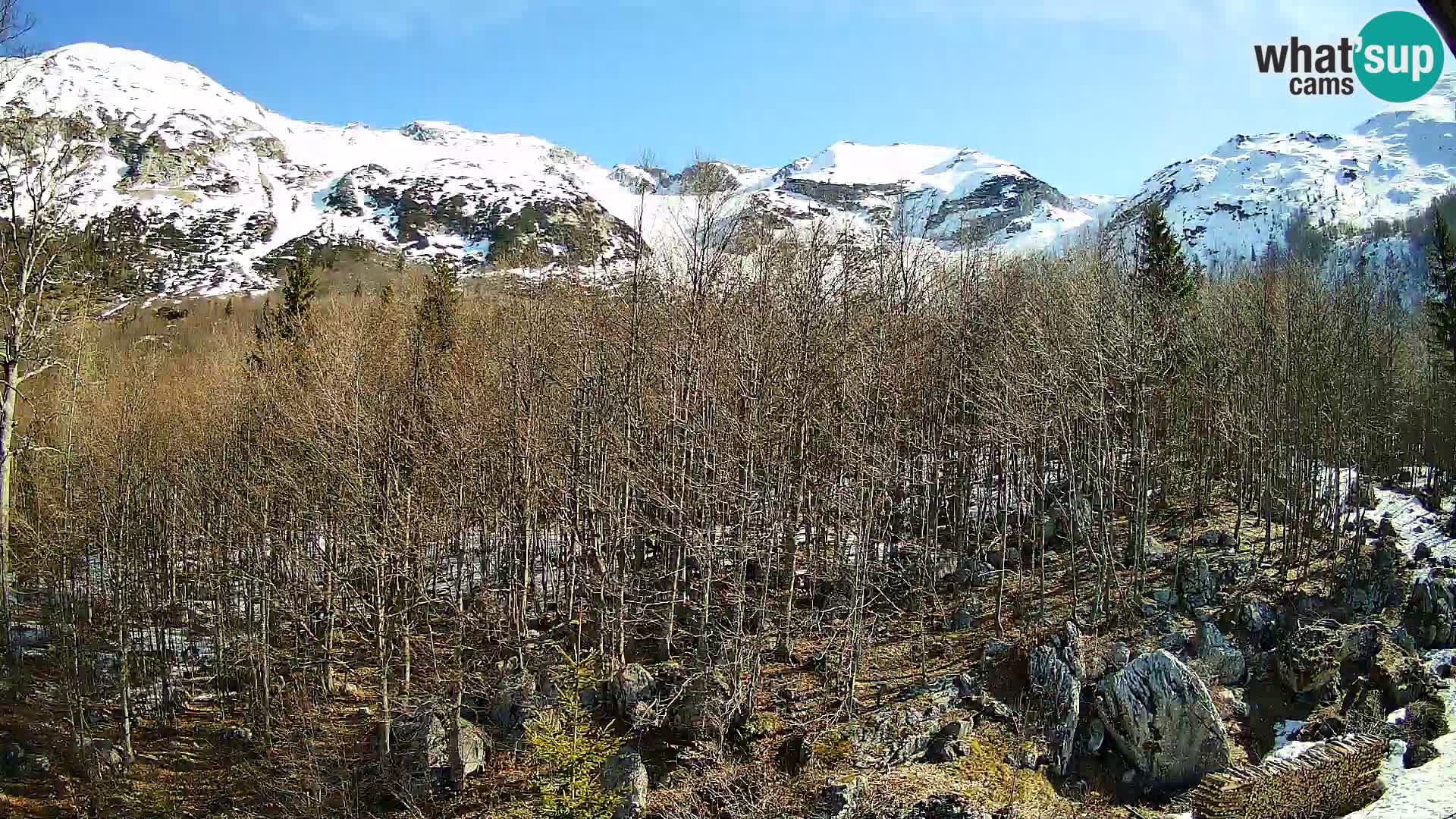 Livecam PLANINA RAZOR (1315) | vue sur Vogel et Globoko