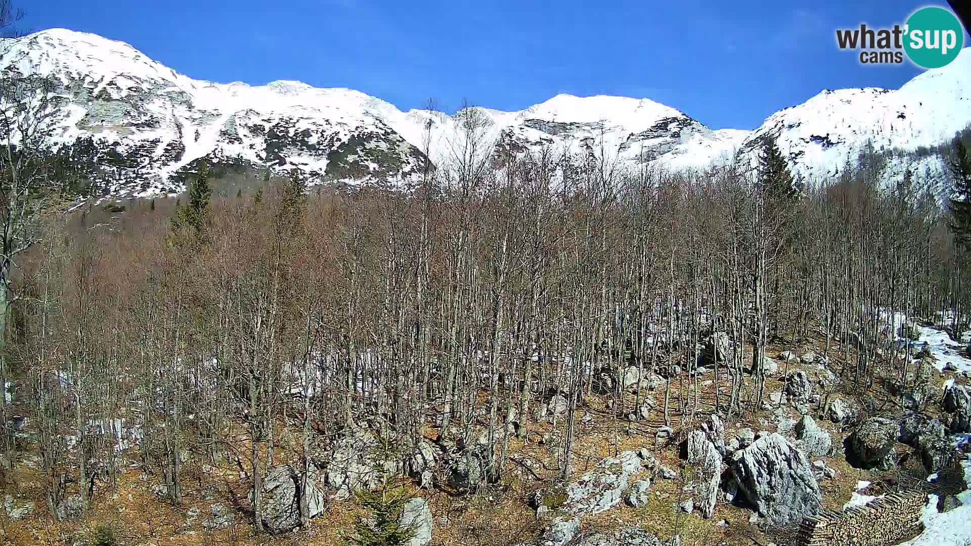Livecam PLANINA RAZOR (1315) | vue sur Vogel et Globoko
